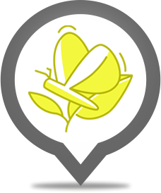 Illustration Biodiversität